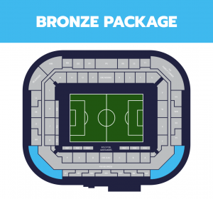 psv-eindhoven_bronze