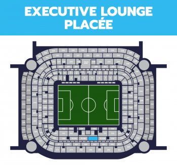 acmilan_executive-lounge-placee