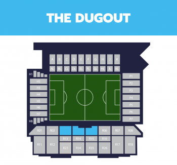 fulham_the-dugout