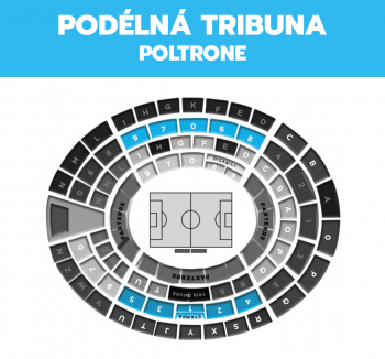 hellas-verona_podelna-tribuna-poltrone
